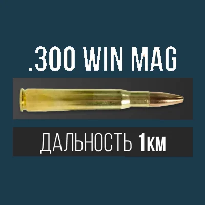 Лучшие патроны .300 серии Лучшие патроны .300 серии