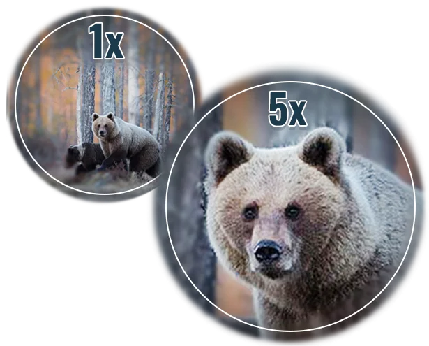 Увеличение 1x - 5x