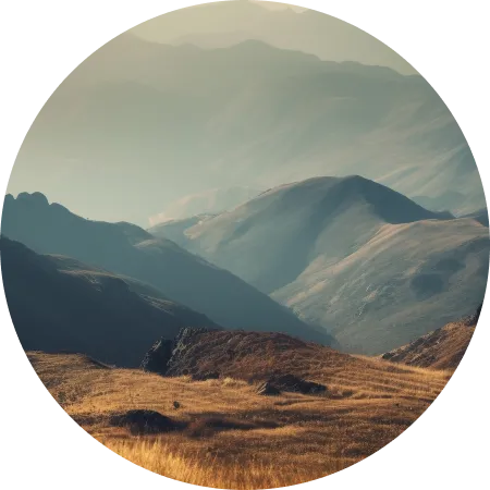 Оптическая кратность